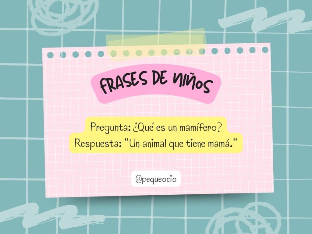 Frases De Niños En Exámenes