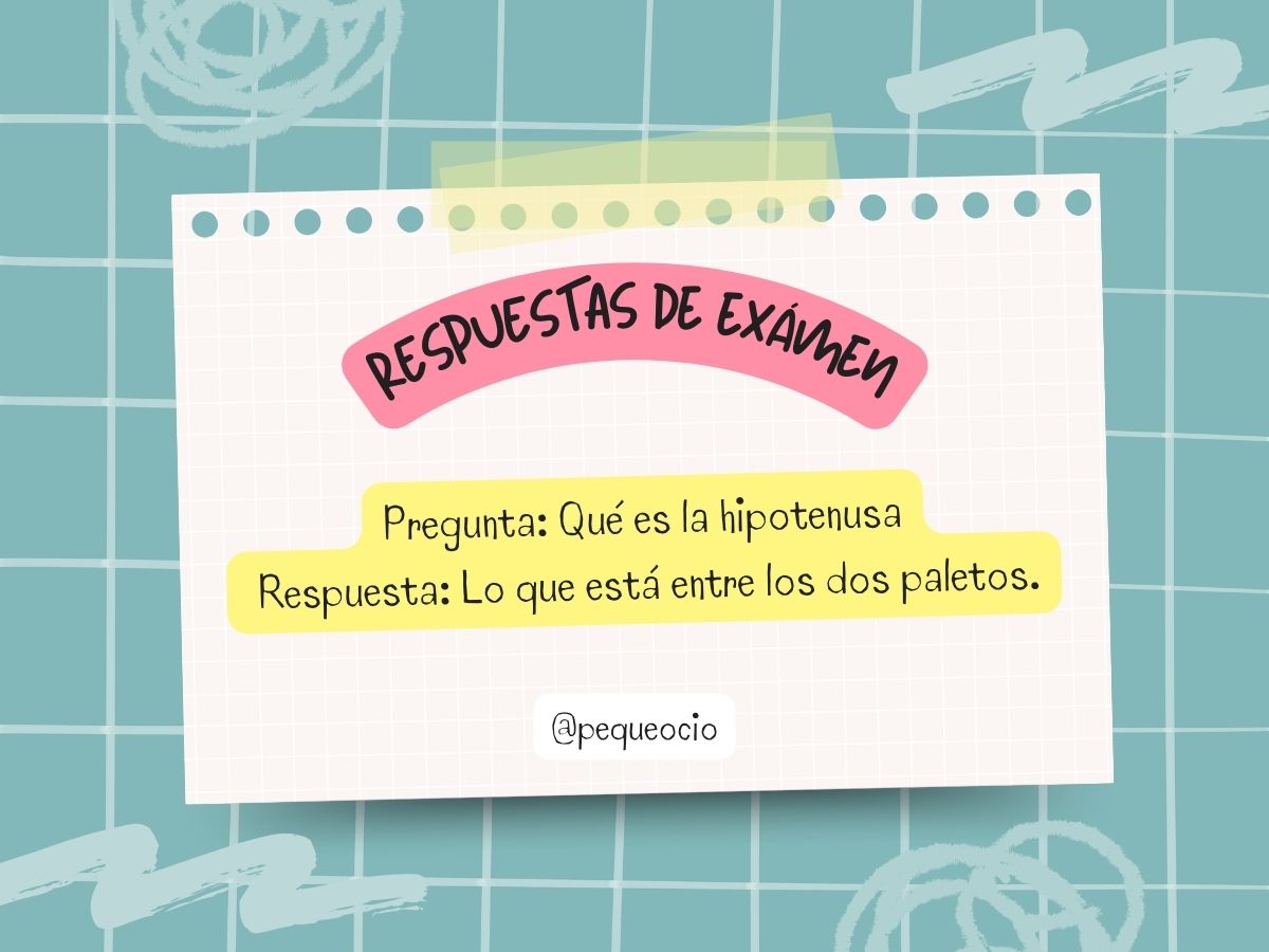 Respuestas Divertidas De Examen