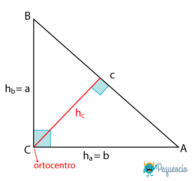 Triángulo rectángulo: características y fórmulas - Pequeocio