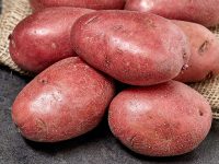 Las Mejores Patatas Para Cocer