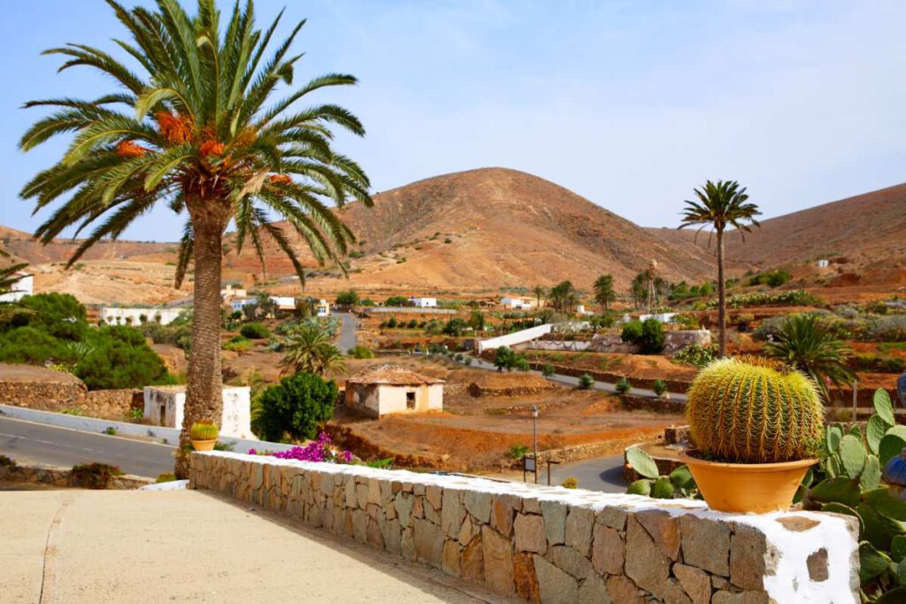 Excursiones En Fuerteventura