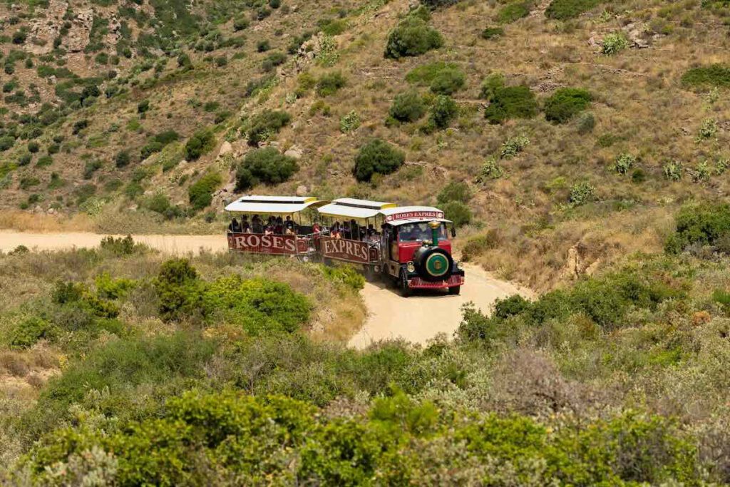 Vacaciones En La Costa Brava Con Los Niños