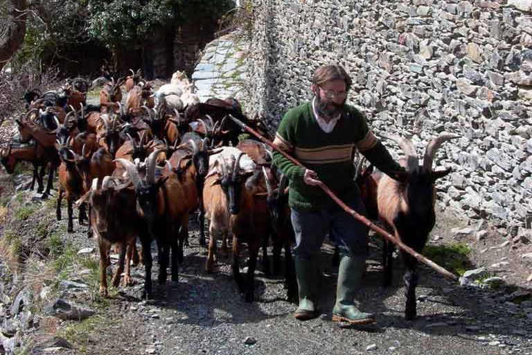 Qué Hacer En Los Pirineos Catalanes Con Niños