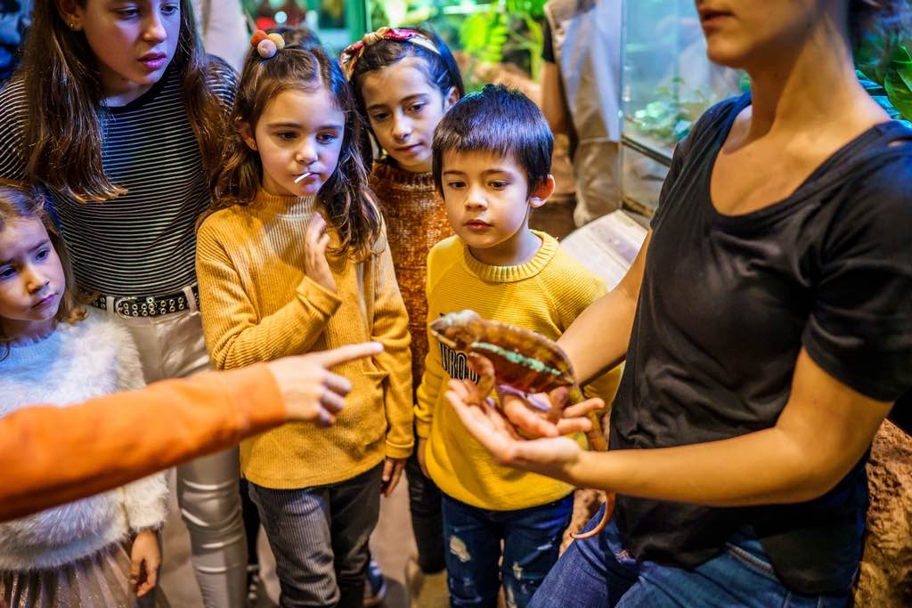 Vacaciones En San Sebastián Con Niños