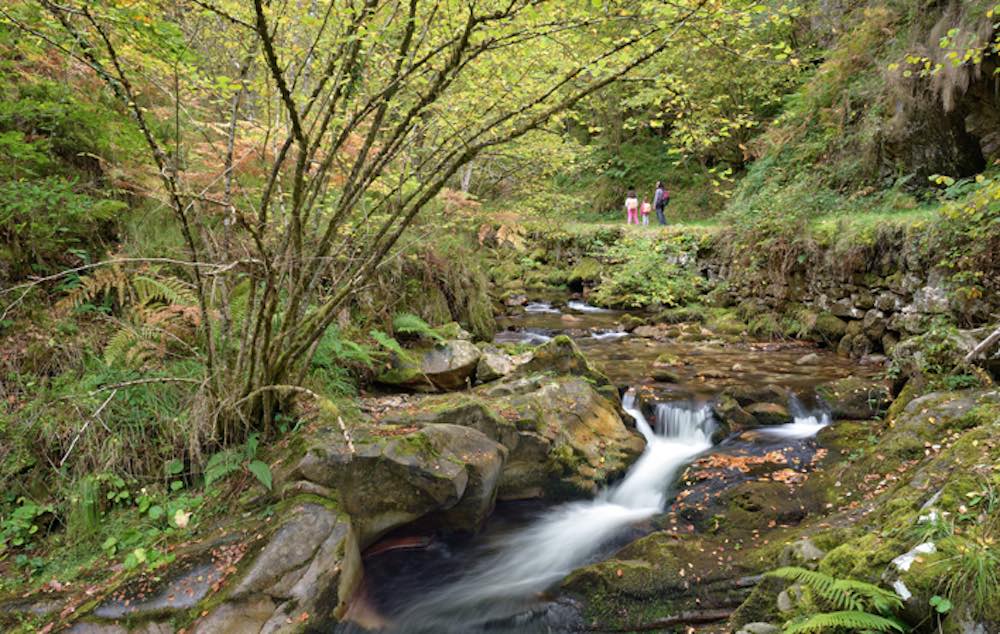 Excursiones Fáciles En Asturias Con Los Niños