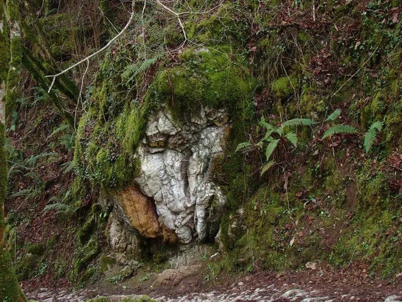 Senderismo En Asturias Con Niños