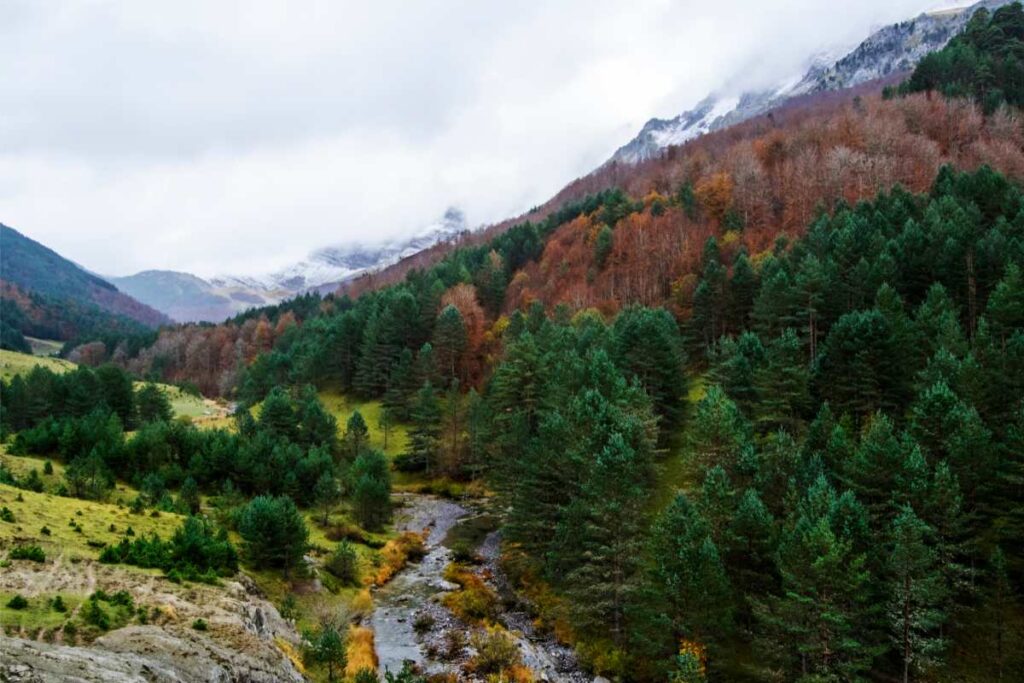 Excursiones Por El Pirineo Aragonés Con Niños