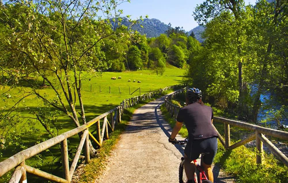 Cicloturismo En Asturias Con Niños