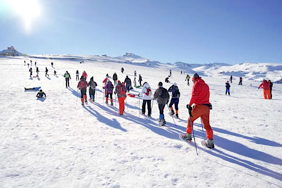 Excursiones En Sierra Nevada