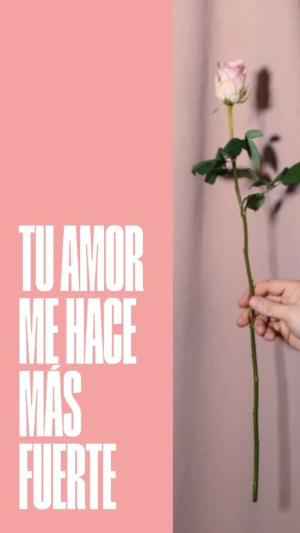 Frases Para Dedicar A Tu Amor