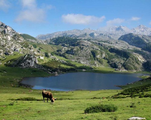 Qué hacer en Asturias con niños