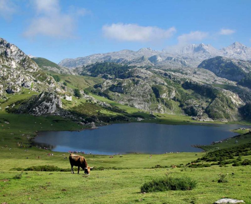 Qué hacer en Asturias con niños